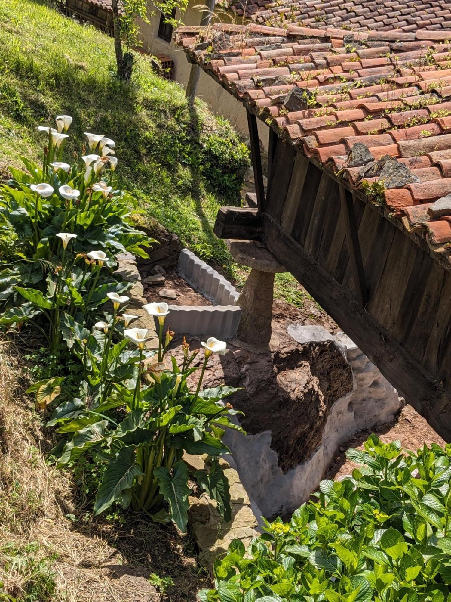 Las Casas De Isu บีญาวิซิโอซา ภายนอก รูปภาพ